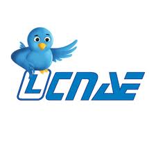 CNAE /  CCAE 45